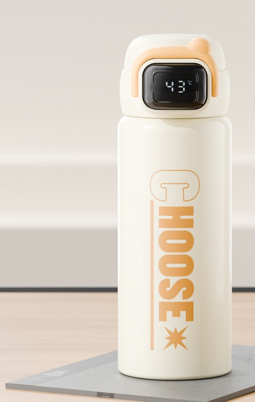 Smart Insulated Water Bottle - 500ml | Hot & Cold | Stylish Design